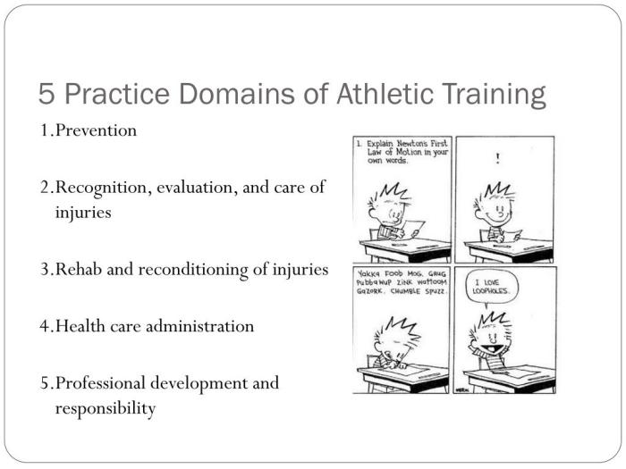 Six domains of athletic training