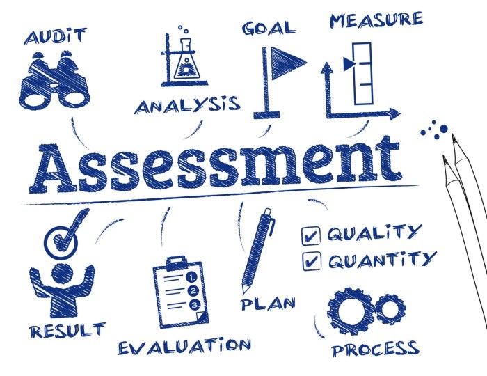 Domain 2 marketing and sales post assessment