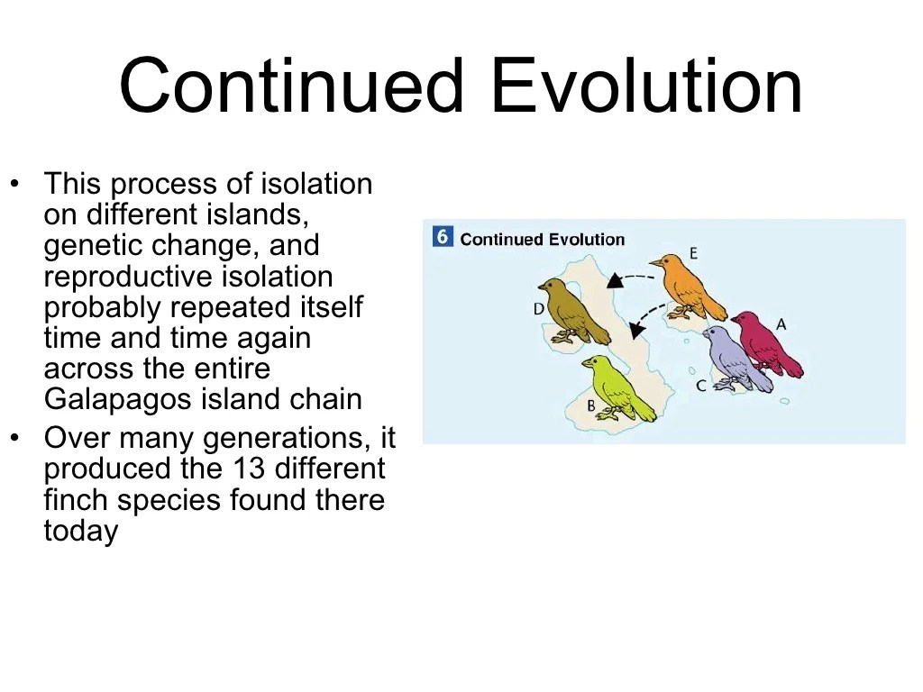 Chapter 16 evolution of populations