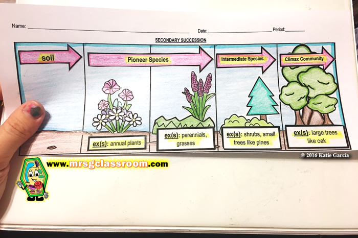 Succession online interactive answer key