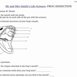 Frog dissection crossword answers key