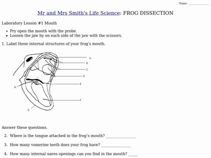 Frog dissection crossword answers key