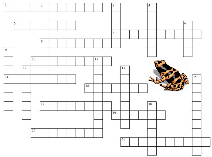 Frog dissection crossword answers key