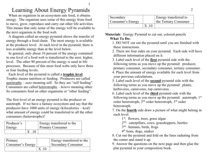 Energy pyramids tying it all together worksheet answers