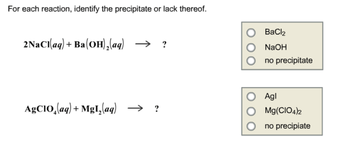 Identify the precipitate or lack thereof for the reaction